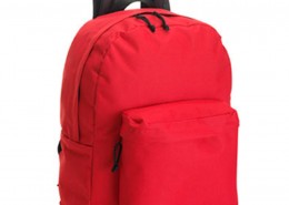 GP Backpack 6